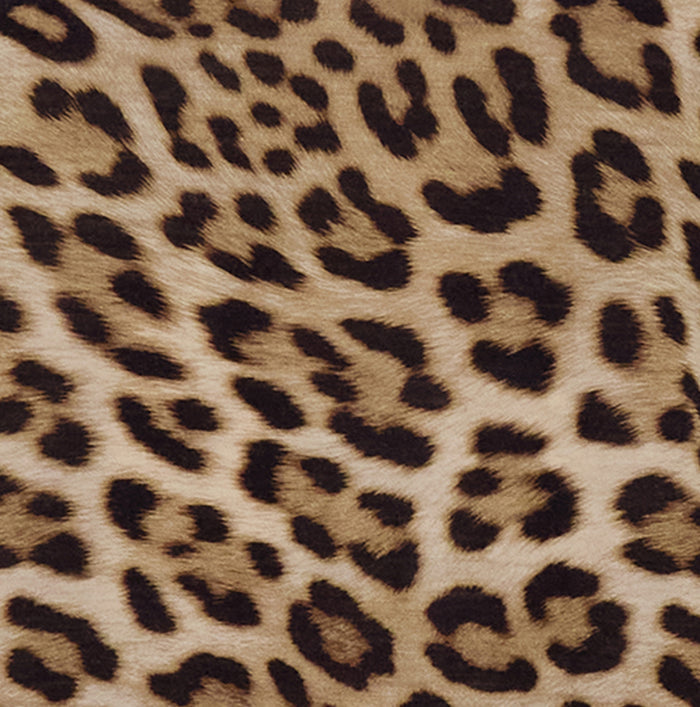 KATHERINE LEOPARD BROWN WOMENS CAP SLEEVE TOP