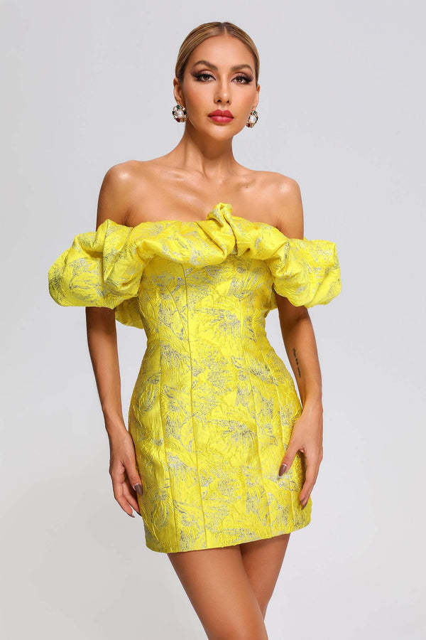 Lauriane
Yellow Ruffle Mini Dress