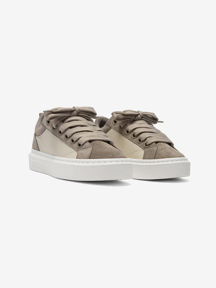 Ace Taupe