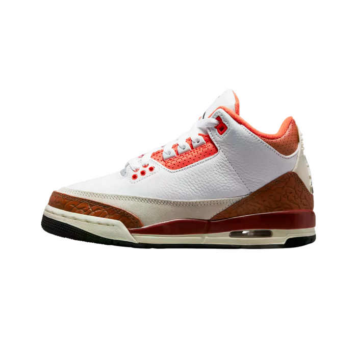 Air Jordan 3 Retro SE GS