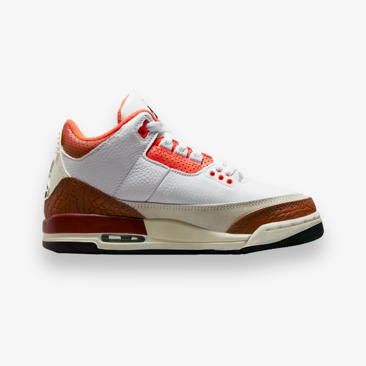 Air Jordan 3 Retro SE GS