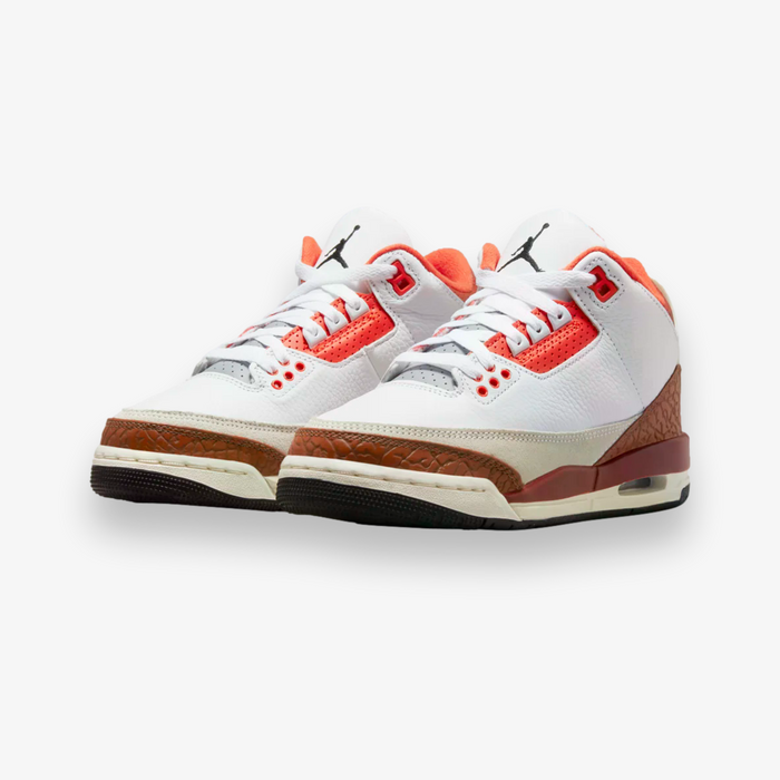 Air Jordan 3 Retro SE GS
