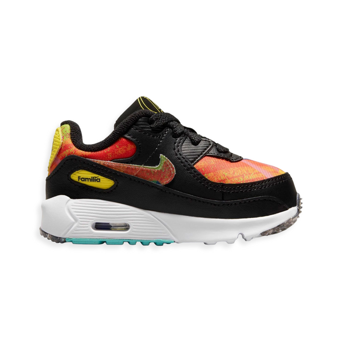 Air Max 90 Familia TD