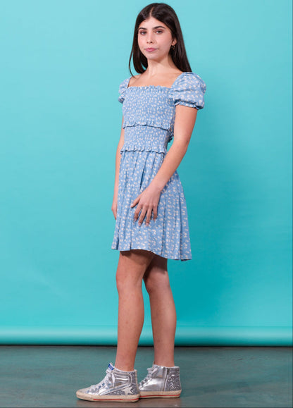 BERKLEY Puff Sleeve Smocked Dress