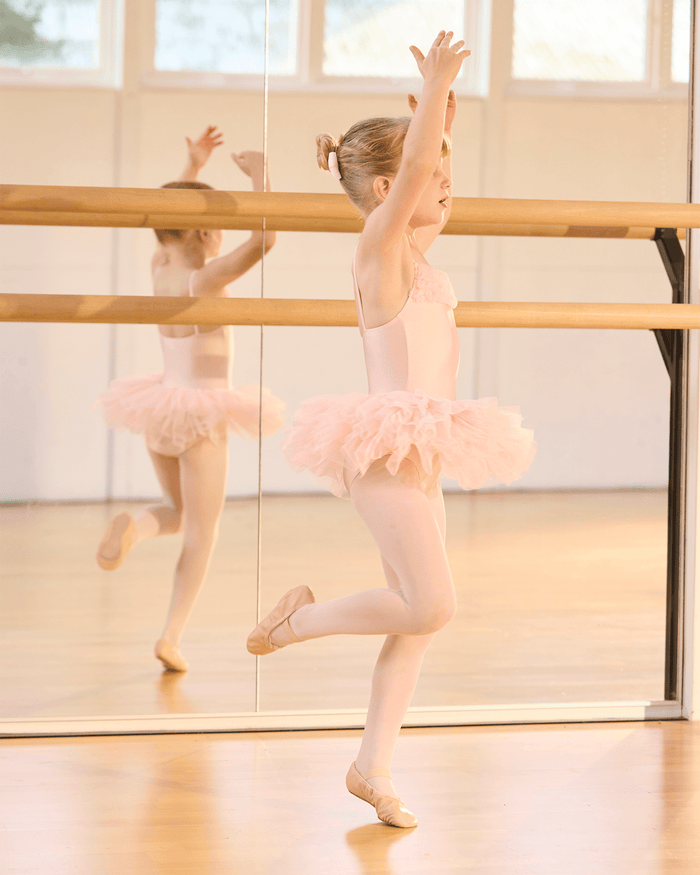 Bloch Ballet Shoes Bloch Ballet Shoes in Pink