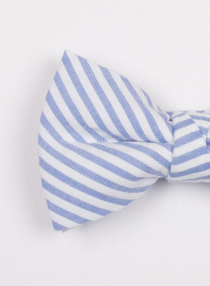 Thomas Brown Bow Tie Bow Tie in Blue Stripe