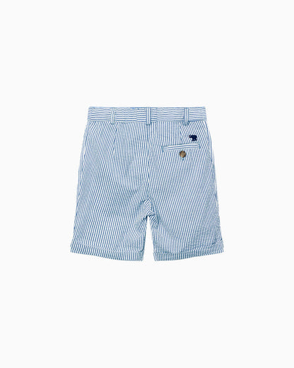Thomas Brown Shorts Charlie Chino Shorts in Blue Stripe