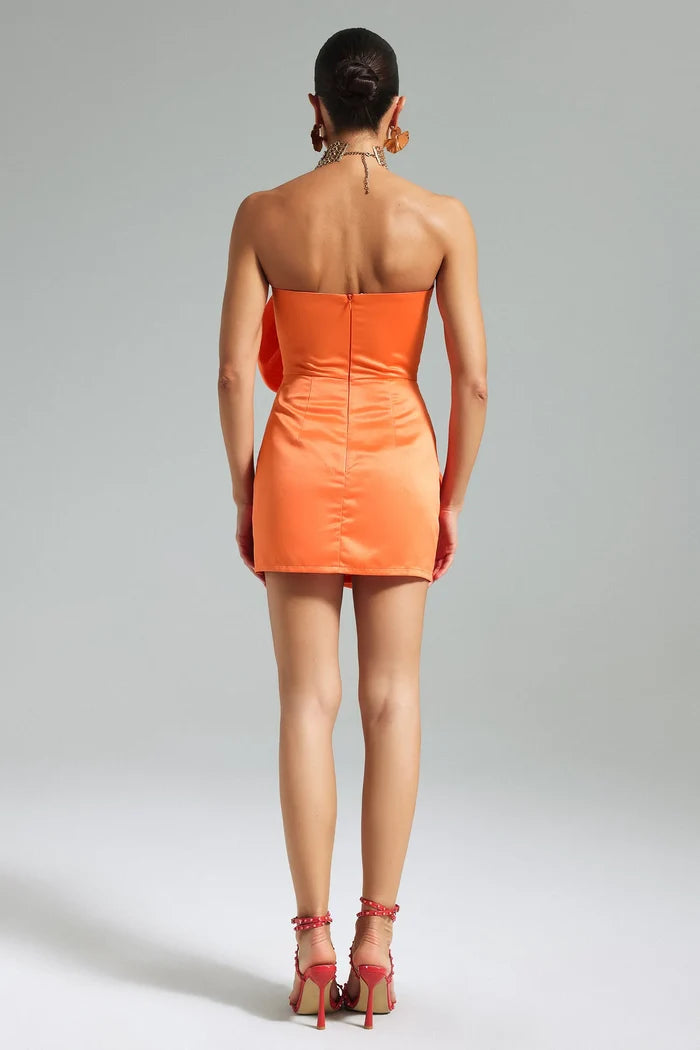 Diana Orange Floral Appliqué Mini Dress