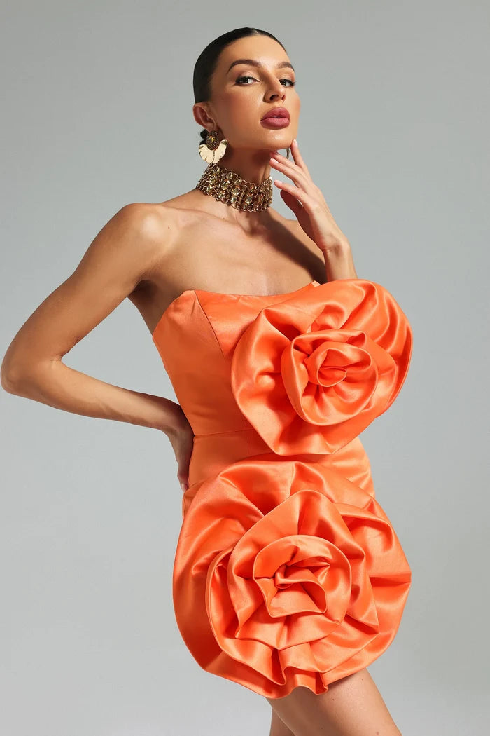 Diana Orange Floral Appliqué Mini Dress