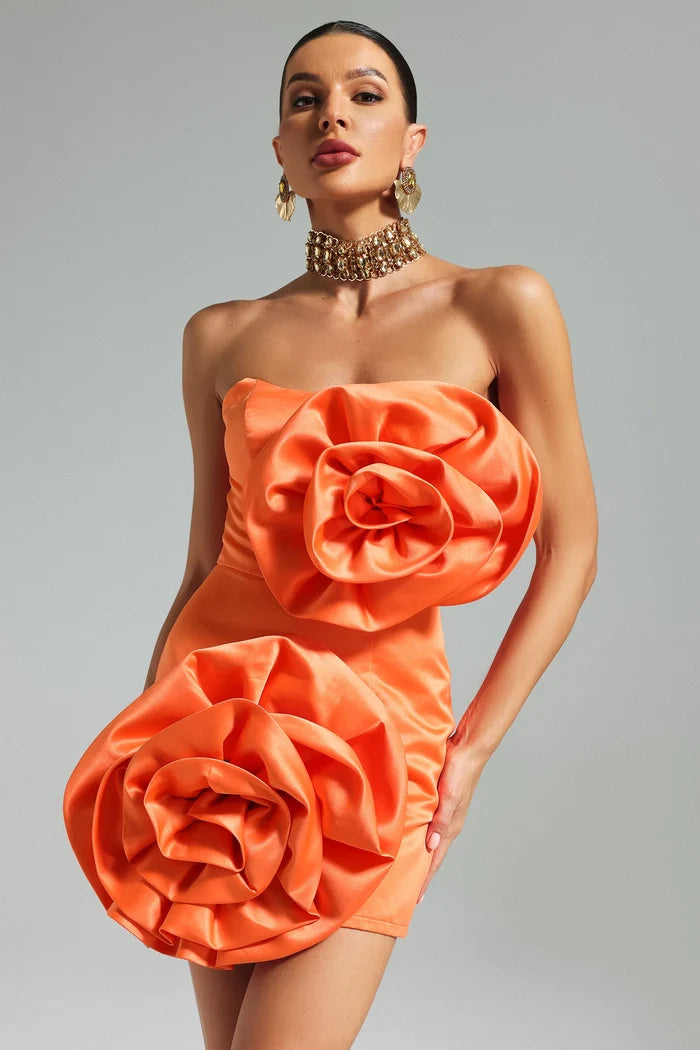 Diana Orange Floral Appliqué Mini Dress