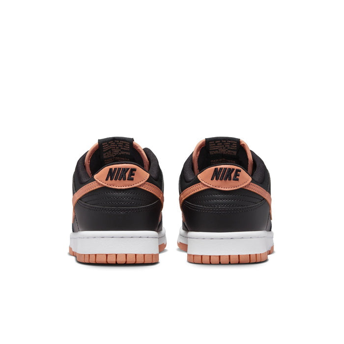 DV0831-004-Men Dunk Low Retro