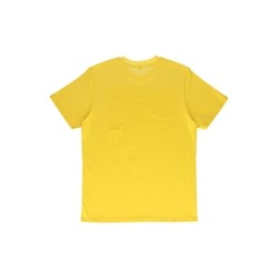 Eagles Champion T-shirt