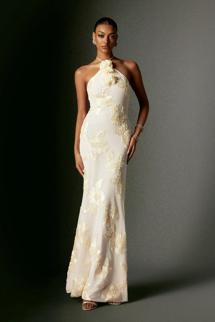 Fallon Floral Appliqué Halter Maxi Dress