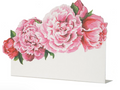 Hester & Cook Place Cards