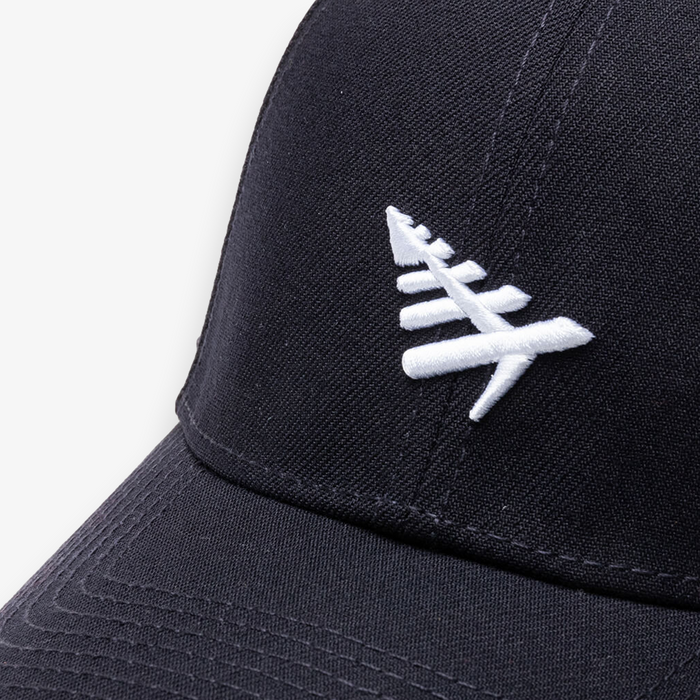 Icon Ii Dad Hat