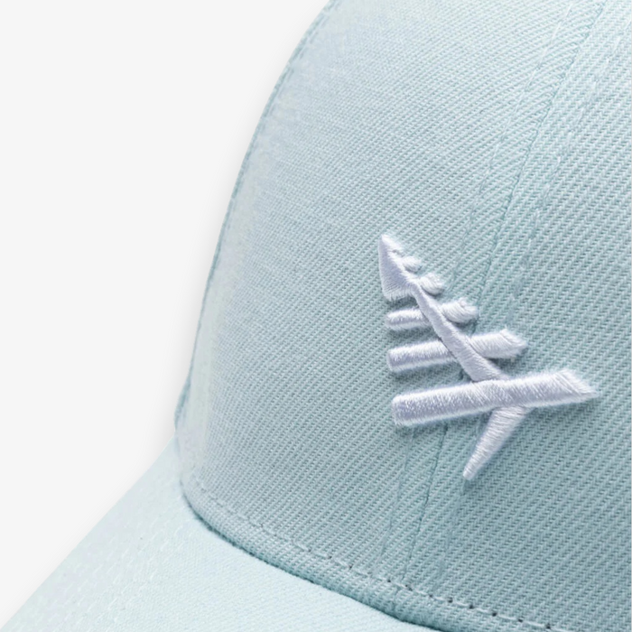 Icon II Dad Hat
