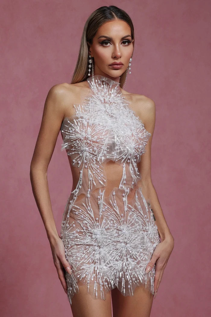 Janet Crystal Bloom Illusion Mini Dress
