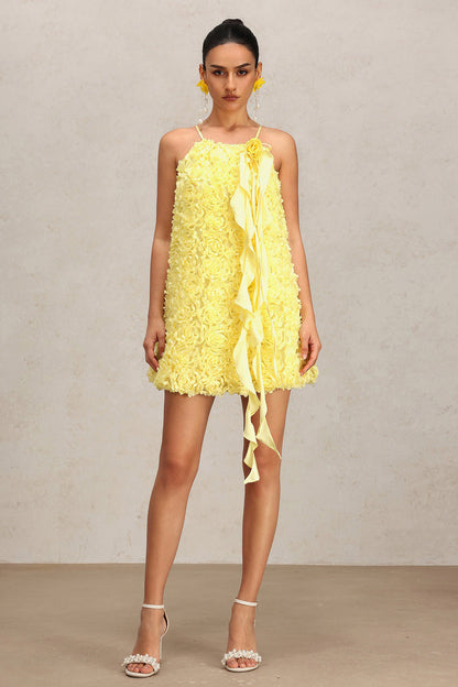 Jenny Floral Textured Mini Dress