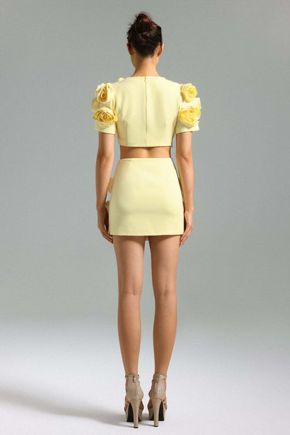 Luxe 3D Rose Embellished Crop Set