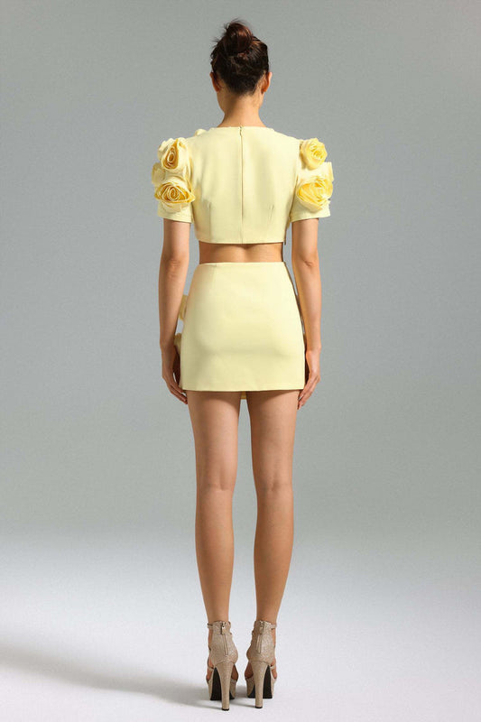 Luxe 3D Rose Embellished Crop Set