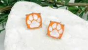 Prep Obsessed Stud Earrings