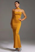Serena Golden Aura Maxi Gown