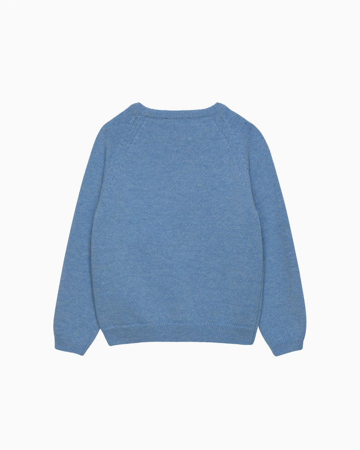 Chelsea Clothing Company Jumper T-Rex Jumper