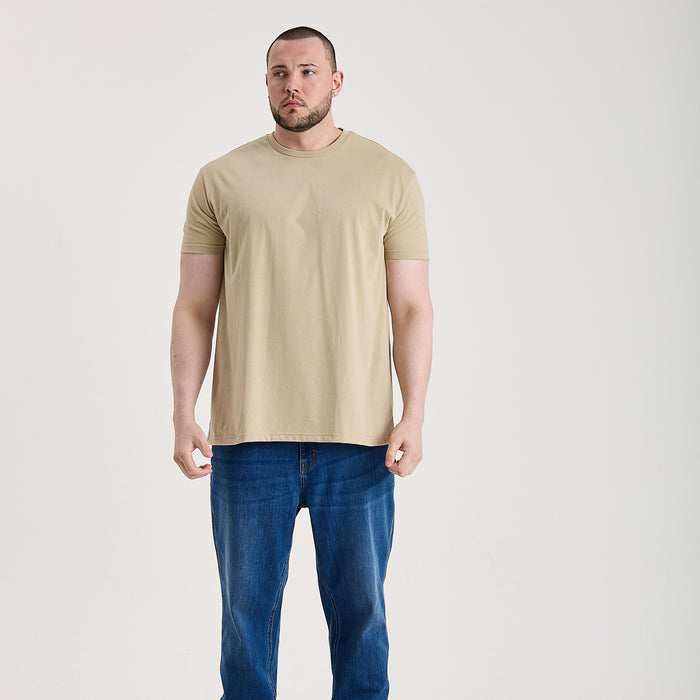 Tall Forest 3-Pack
