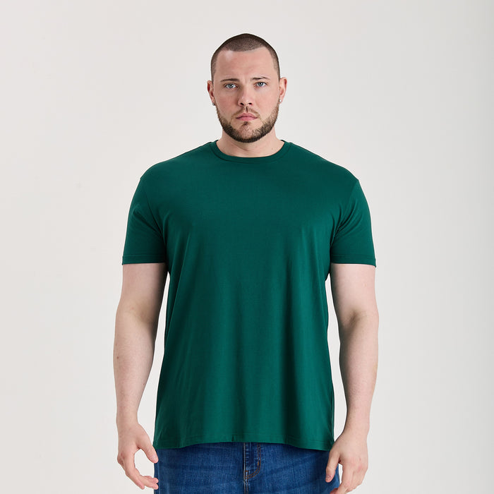 Tall Forest 3-Pack