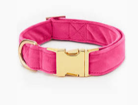 The Foggy Dog Dog Collar