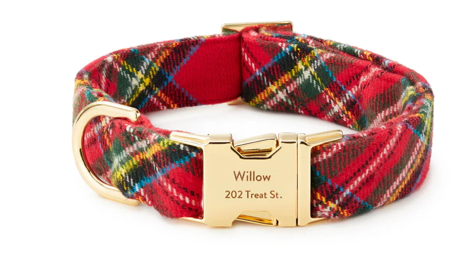 The Foggy Dog Dog Collar