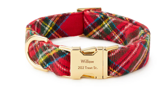 The Foggy Dog Dog Collar