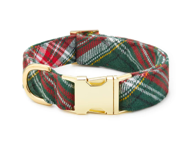 The Foggy Dog Dog Collar