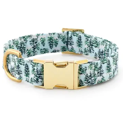 The Foggy Dog Dog Collar