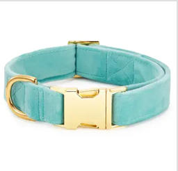 The Foggy Dog Dog Collar
