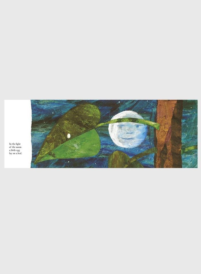 Eric Carle Book The Very Hungry Caterpillar Board Book