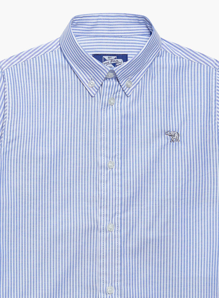 Thomas Brown Shirt Thomas Shirt in Navy Striped